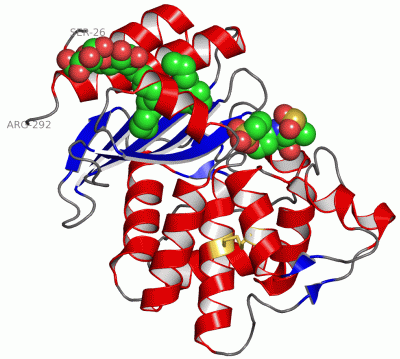 Image Asym./Biol. Unit - manually