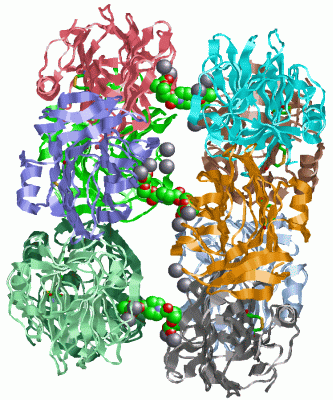 Image Asym./Biol. Unit - manually