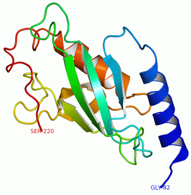 Image Asym./Biol. Unit - manually