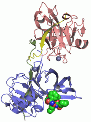 Image Asym./Biol. Unit - manually