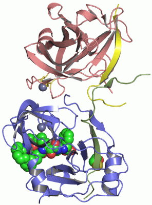 Image Asym./Biol. Unit - manually