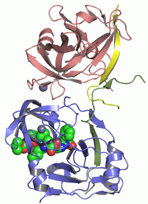 Image Asym./Biol. Unit - manually