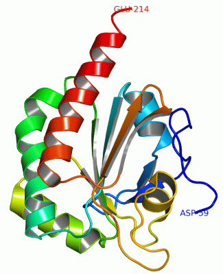 Image Asym./Biol. Unit - manually