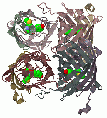 Image Biol.Unit 1 - manually