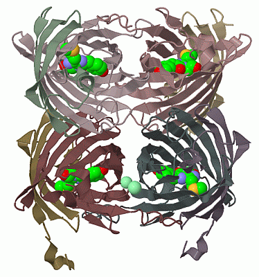 Image Biol.Unit 1 - manually