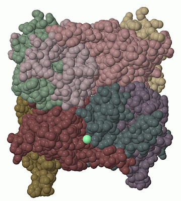 Image Biol.Unit 1 - manually