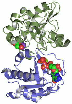 Image Asym./Biol. Unit - manually