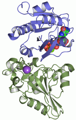 Image Asym./Biol. Unit - manually