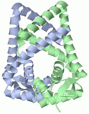 Image Biol.Unit 1 - manually