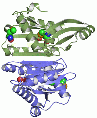 Image Asym.Unit - manually