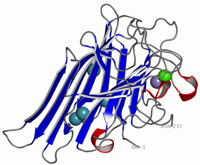 Image Asym.Unit - manually