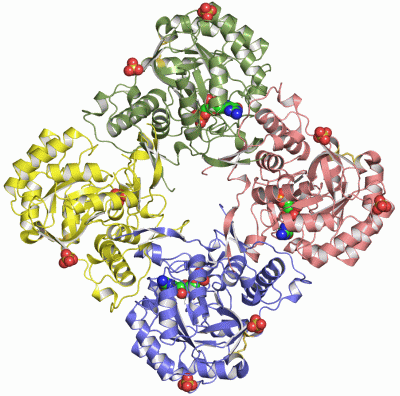 Image Asym./Biol. Unit - manually