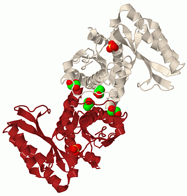 Image Biol.Unit 1 - manually