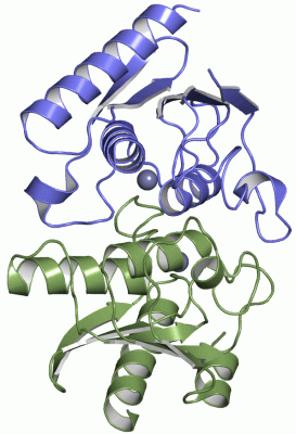 Image Asym./Biol. Unit - manually