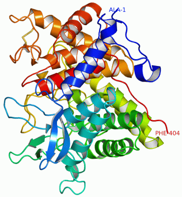 Image Asym./Biol. Unit - manually