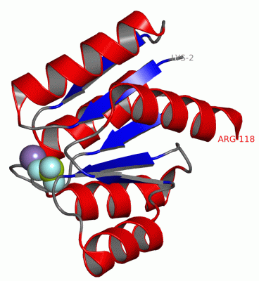 Image Asym./Biol. Unit - manually