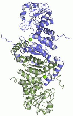 Image Asym./Biol. Unit - manually