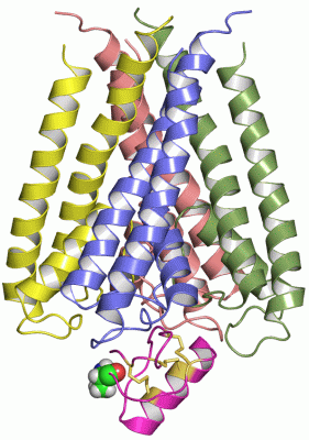Image NMR Structure - manually