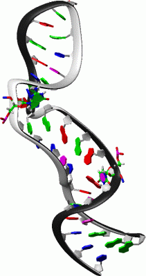 Image NMR Structure - manually