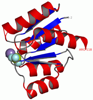 Image Asym./Biol. Unit - manually