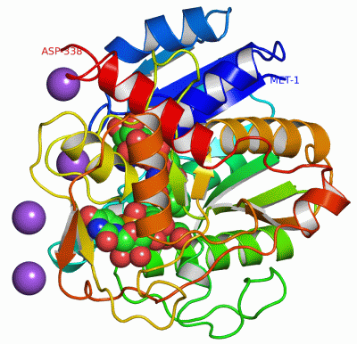 Image Asym./Biol. Unit - manually