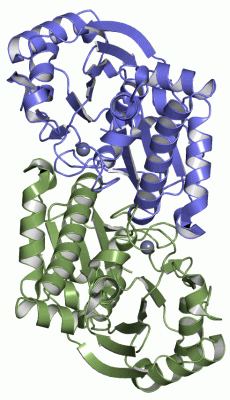 Image Asym./Biol. Unit - manually