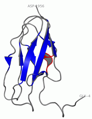 Image NMR Structure - manually