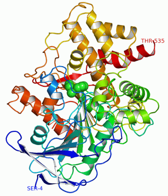 Image Asym.Unit - manually