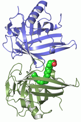 Image Asym./Biol. Unit - manually