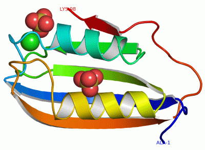 Image Asym./Biol. Unit - manually