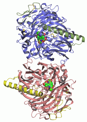 Image Asym./Biol. Unit - manually