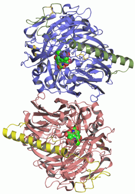 Image Asym./Biol. Unit - manually