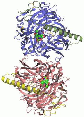 Image Asym./Biol. Unit - manually