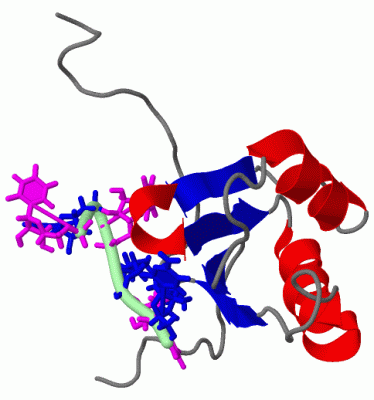 Image NMR Structure - manually