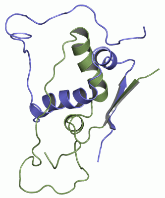 Image NMR Structure - manually