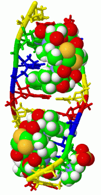 Image Biol.Unit 1 - manually