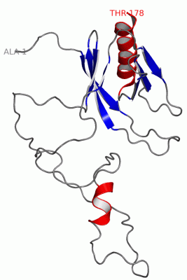 Image NMR Structure - manually