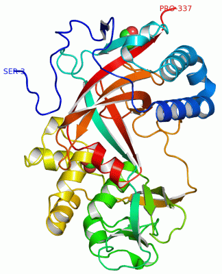 Image Asym./Biol. Unit - manually