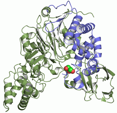 Image Asym./Biol. Unit - manually