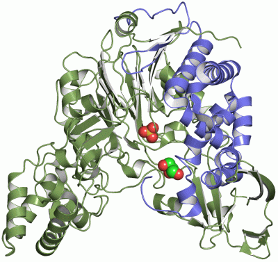 Image Asym./Biol. Unit - manually