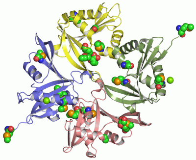 Image Asym./Biol. Unit - manually