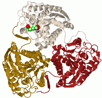 Image Biol.Unit 1 - manually