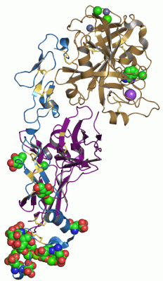 Image Asym./Biol. Unit - manually