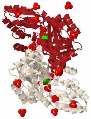 Image Biol.Unit 1 - manually