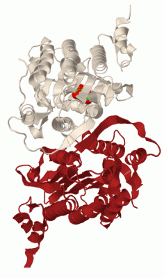 Image Biol.Unit 1 - manually