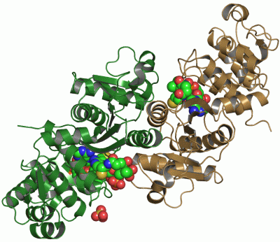 Image Asym./Biol. Unit - manually