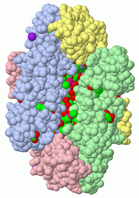 Image Biol.Unit 1 - manually