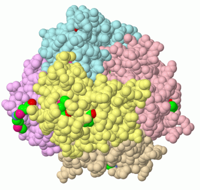 Image Biol.Unit 1 - manually