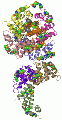 Image Asym.Unit - manually