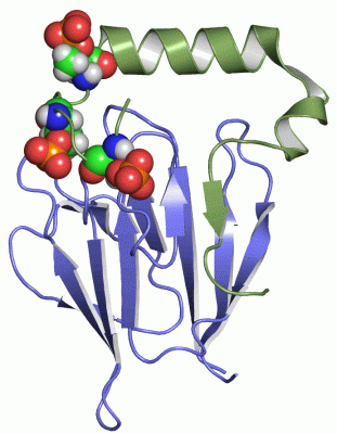 Image NMR Structure - manually